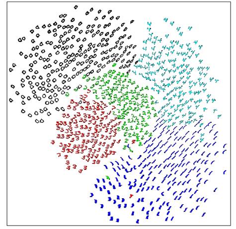 figure crowding.jpg